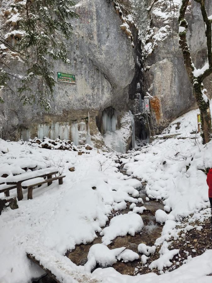 7Soapte Timișu de Jos Zewnętrze zdjęcie