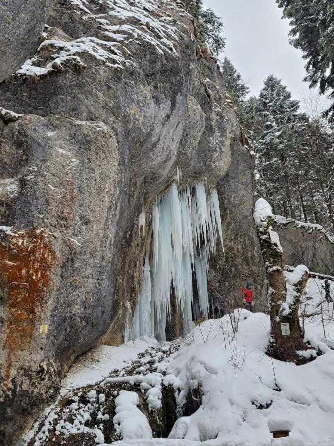 7Soapte Timișu de Jos Zewnętrze zdjęcie